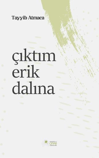 Çıktım Erik Dalına - Tayyip Atmaca
